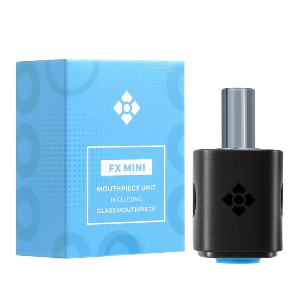 WOLKENKRAFT FX MINI Full Mouthpiece Set inkl. Mundstücksockel, Glasmundstück, Dichtungsring und Sieb
